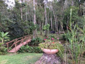 Jardim